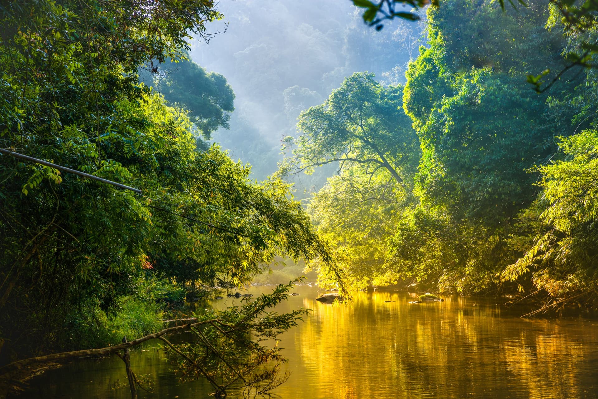 ¿Cómo preparar un viaje a la Amazonia en Brésil?