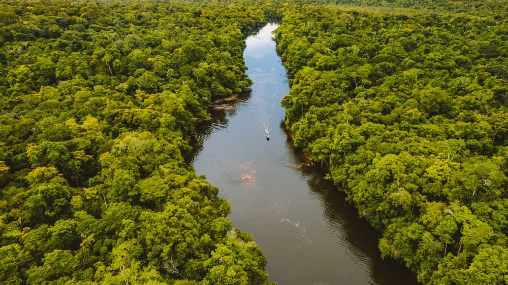 Amazonía