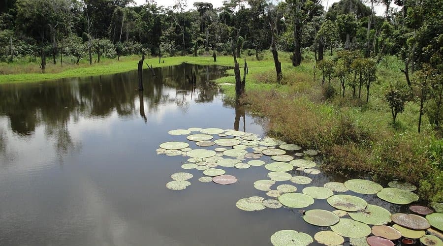 Parque Ecológico Januarí