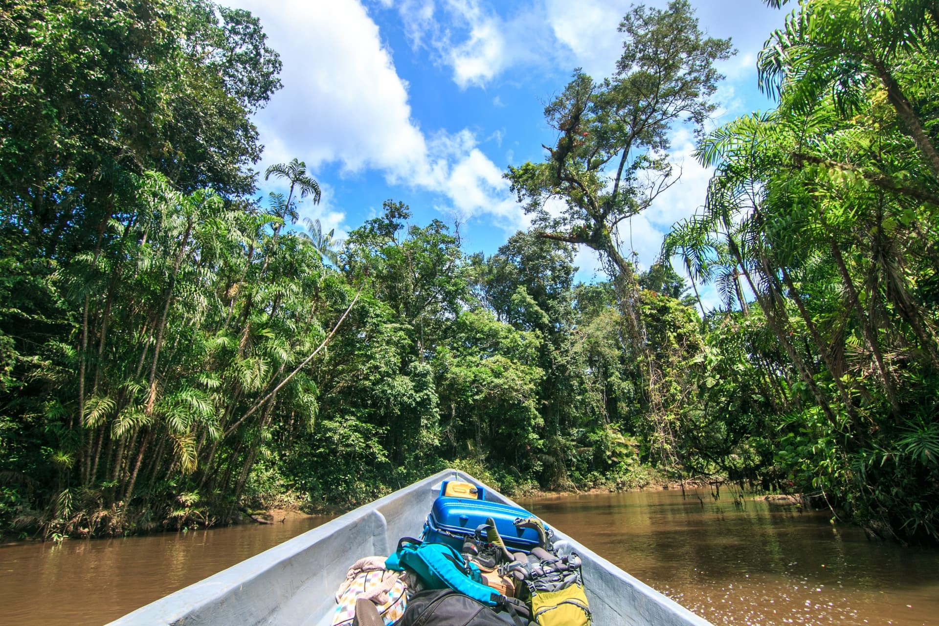 6 actividades para hacer en la Amazonia brasileña